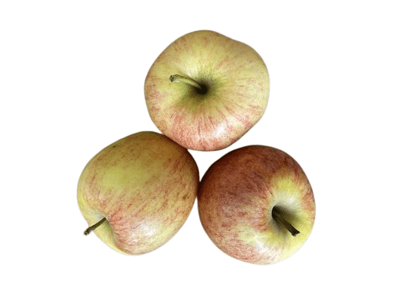 Gala Apples, 3 Pack