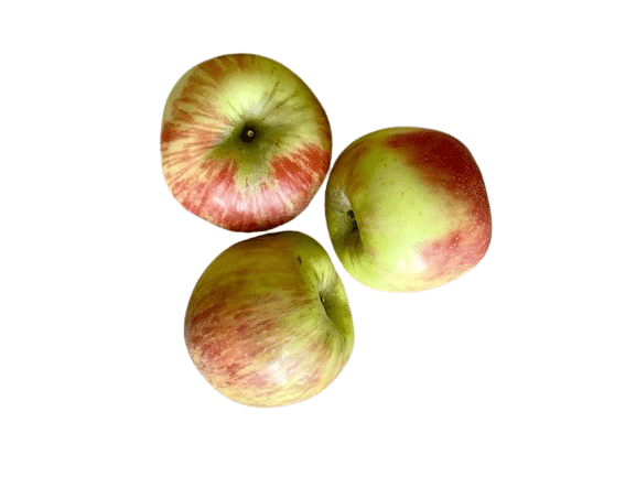 Honeycrisp Apples, 3 Pack