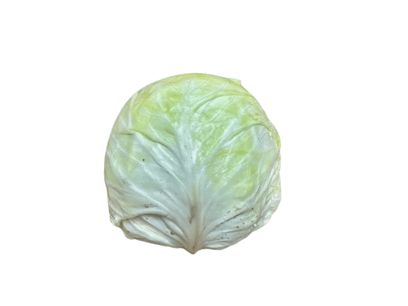 Green Cabbage