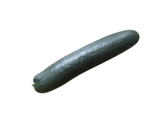 Cucumber