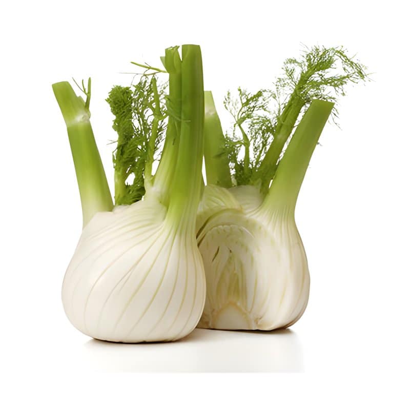 Fennel