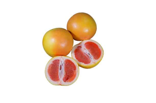 Grapefruit, 3 Pack