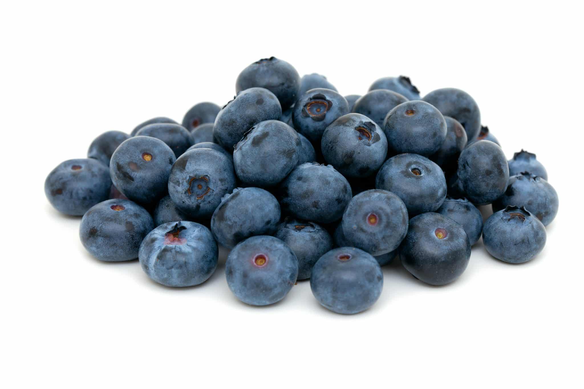 Organic Blueberries