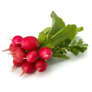 Bunched Red Radish