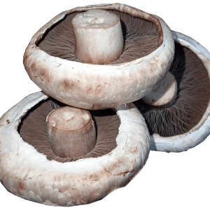 Button Mushrooms