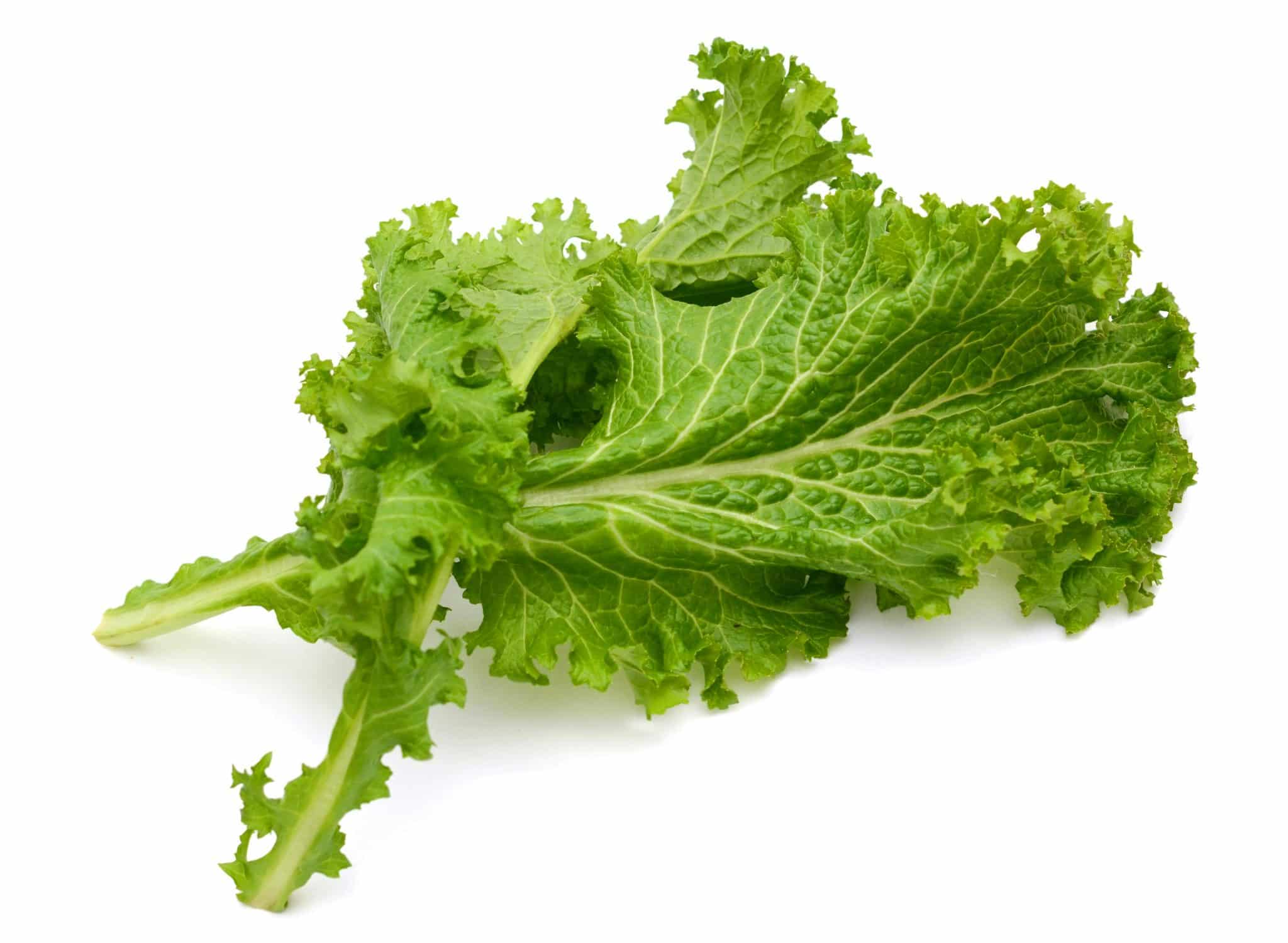 Chinese Mustard Greens