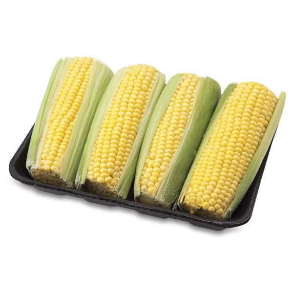 Fresh Corn on the Cob