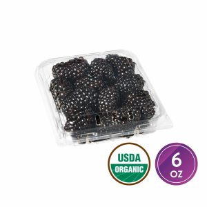 Fresh Blackberries Organic