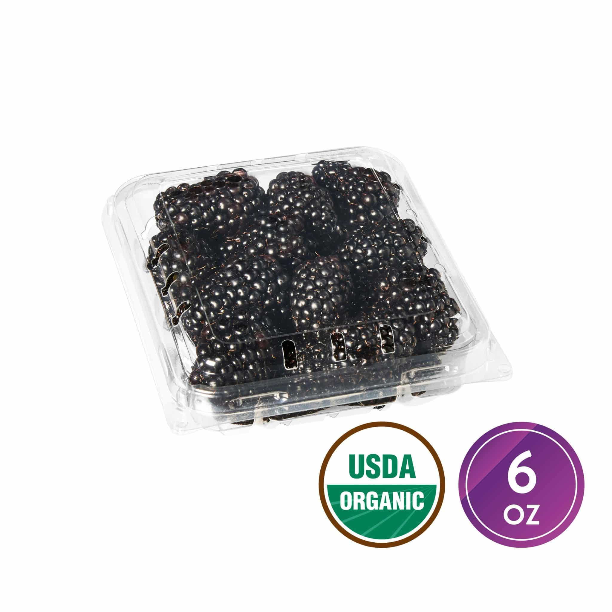 Fresh Blackberries Organic