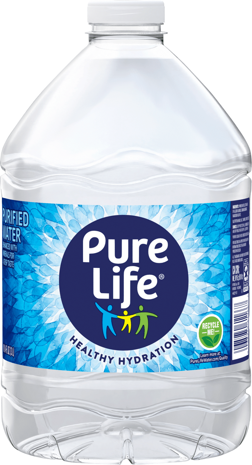 Pure Life Purified Water
