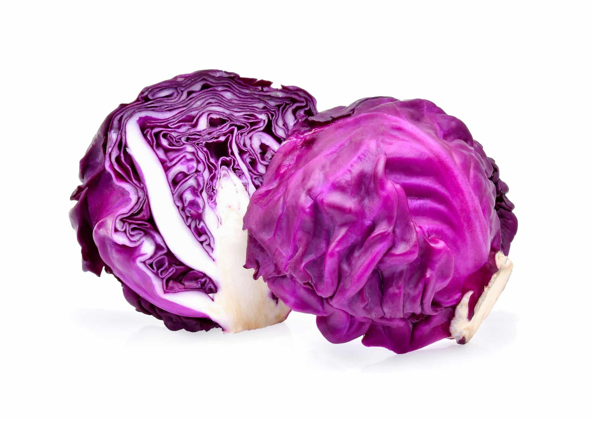Red Savoy Cabbage