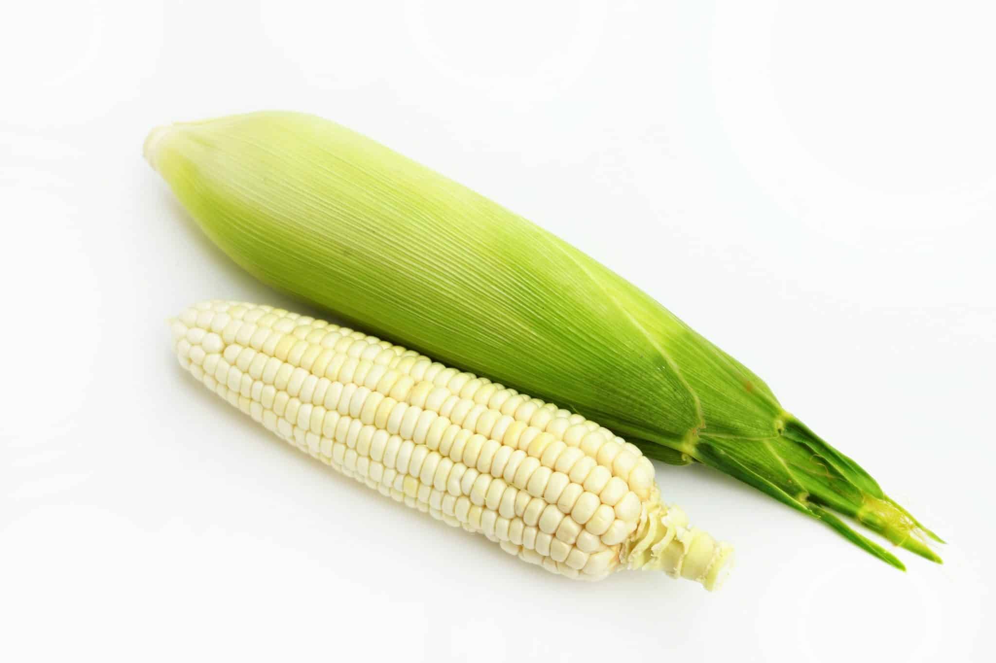 Sweet White Corn