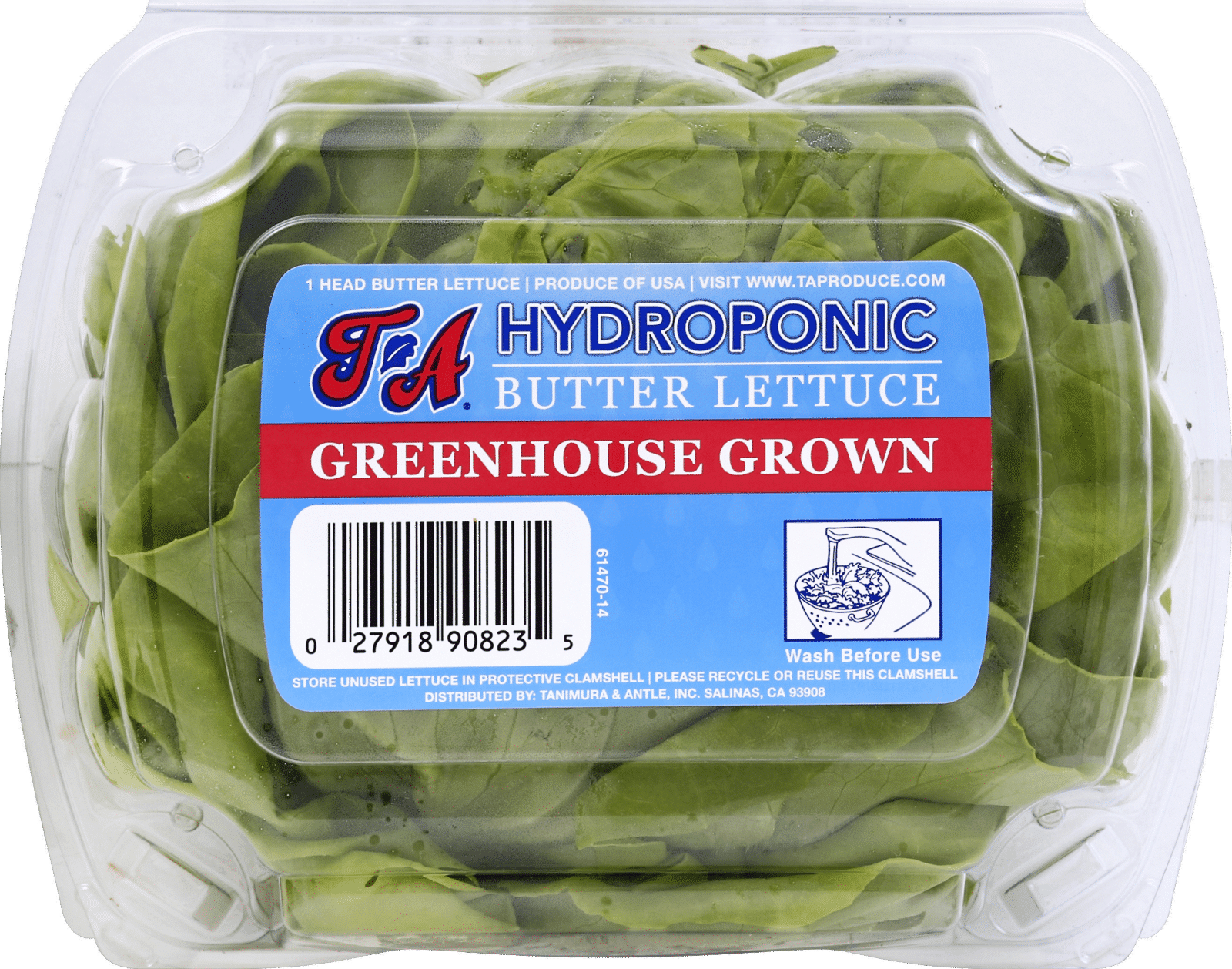 Tanimura & Antle Hydroponic Butter Lettuce 1 ea